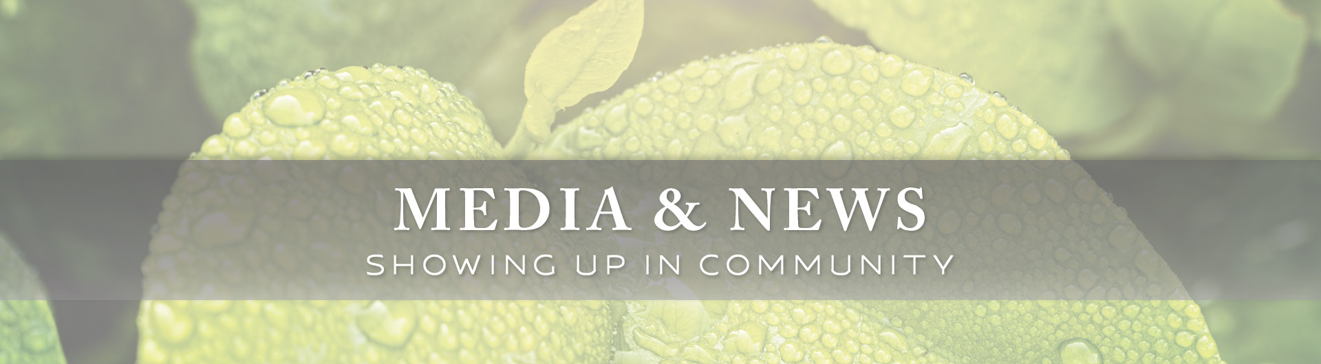 media and news