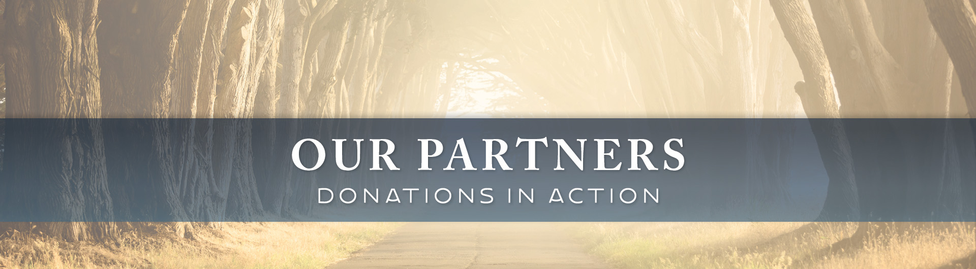 Partners Banner